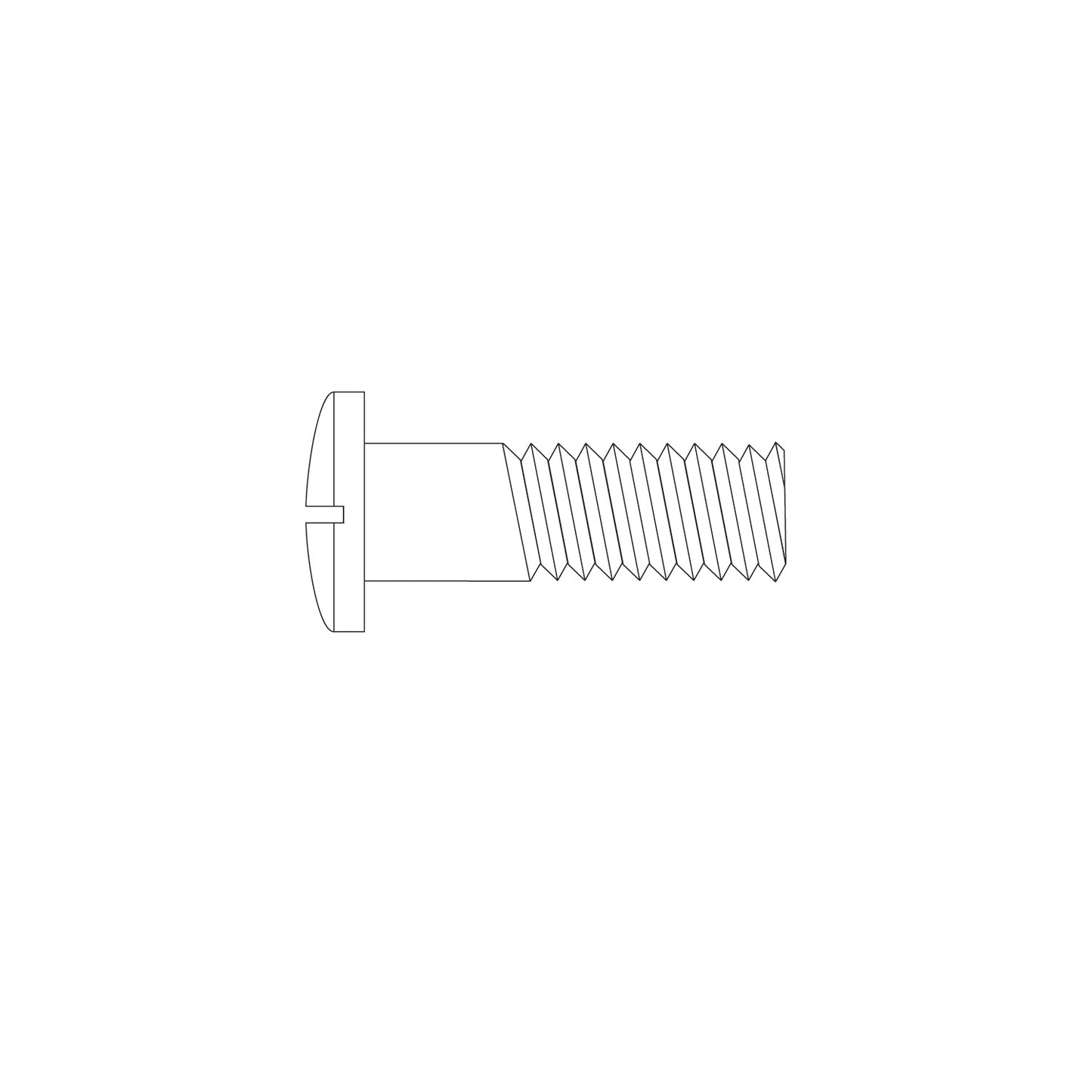 2.8 x 1.6 x 5.6 Large Interchangeable "Magic" Screws (Eyewire/Temple) #1520