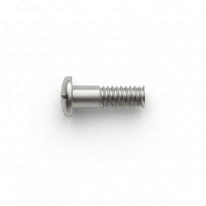 2.5 x 1.4 x 5.2 Medium Interchangeable "Magic" Screws (Eyewire/Temple) #1516