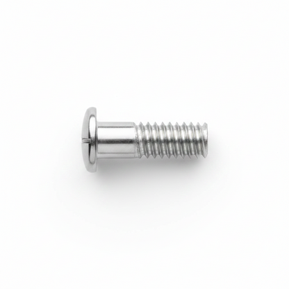 2.8 x 1.6 x 5.6 Large Interchangeable "Magic" Screws (Eyewire/Temple) #1520